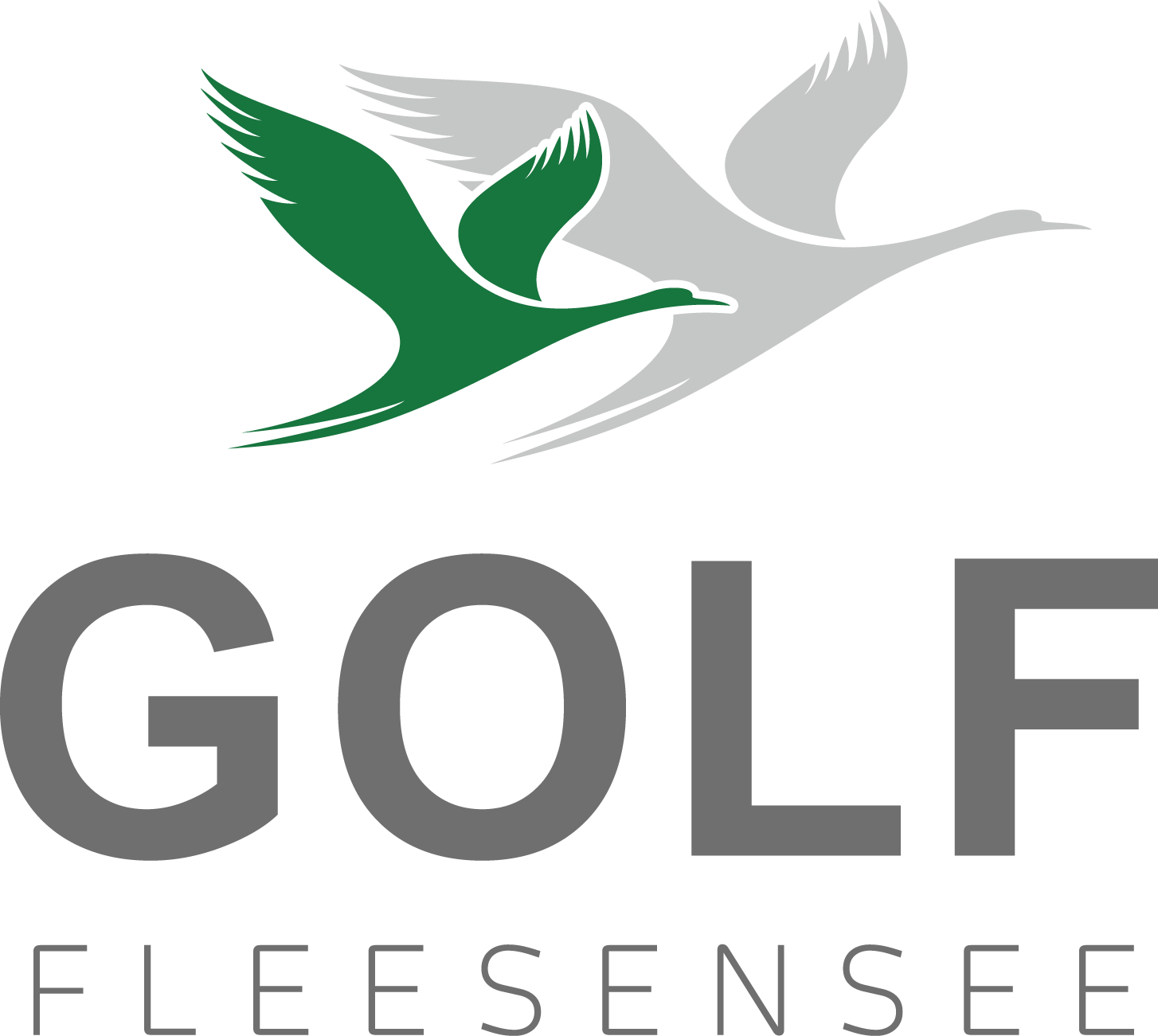 Logo Golf Fleesensee