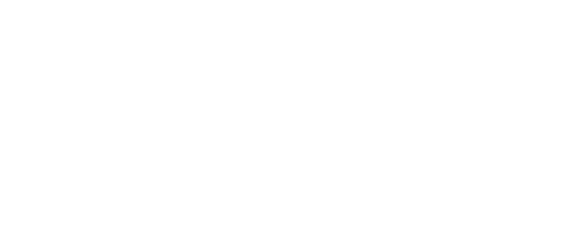 Team11